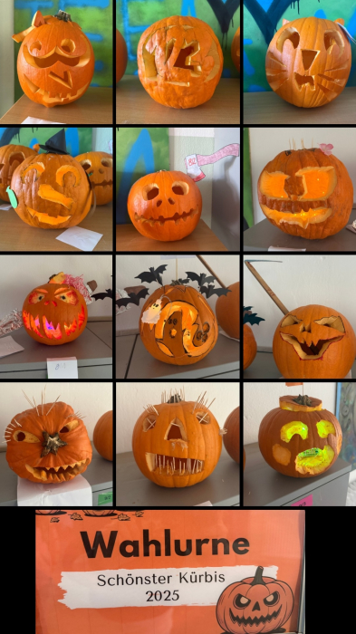 25_10_30_10_16_03_8295.jpg 25_10_30_10_16_03_8295.jpg