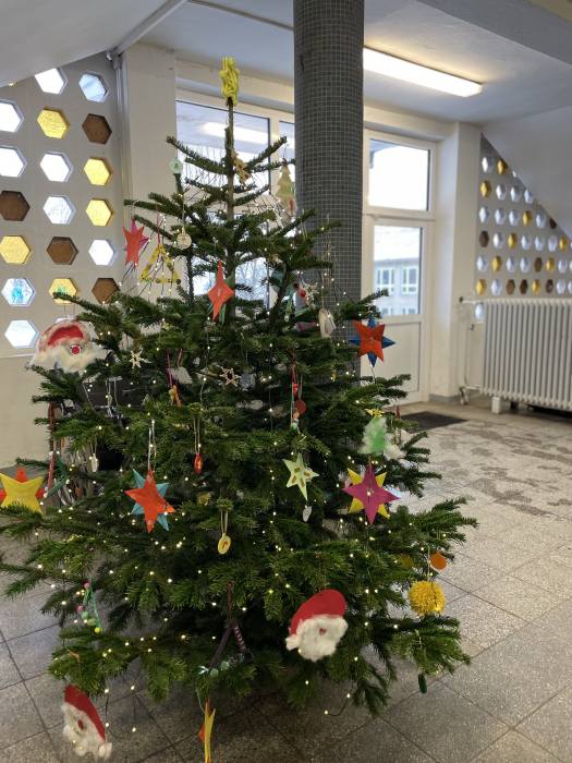 23_12_04_08_54_48_1184.jpg 23_12_04_08_54_48_1184.jpg