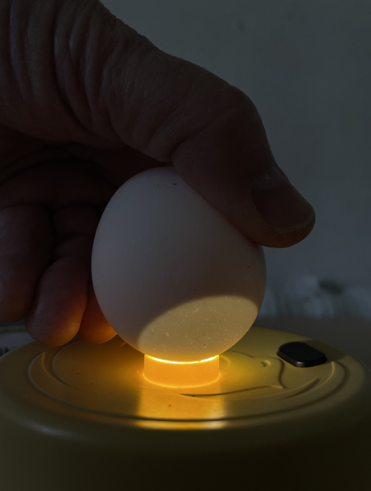 24_04_18_07_54_28_3389.jpg 24_04_18_07_54_28_3389.jpg